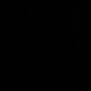 Meet your Posher, Beverly